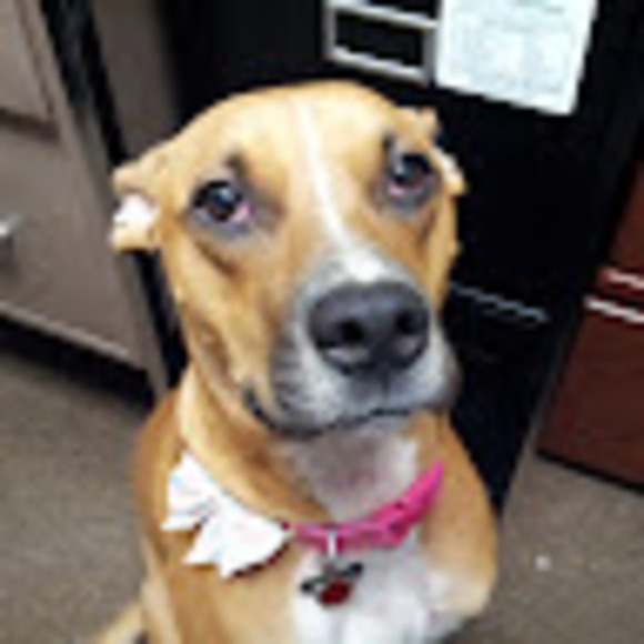 Meet your Posher, Jack - Picture 1 of 1